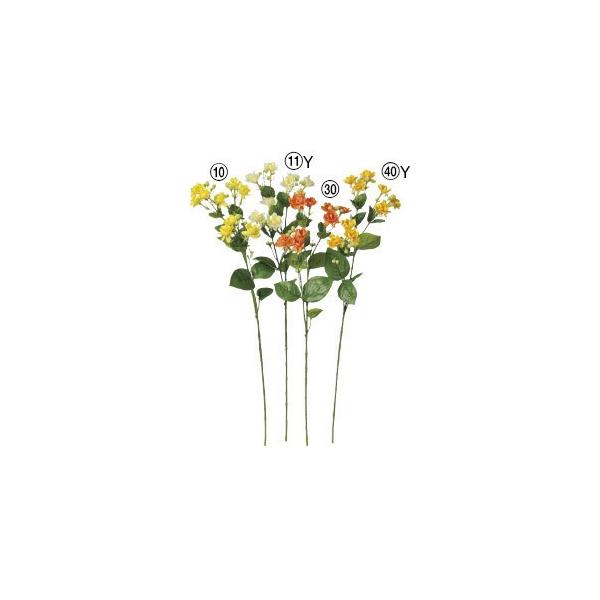  Ԃ̂ WX~×9 ڂ×19k×12{lAWg/ԍ/A[gt[/CeA