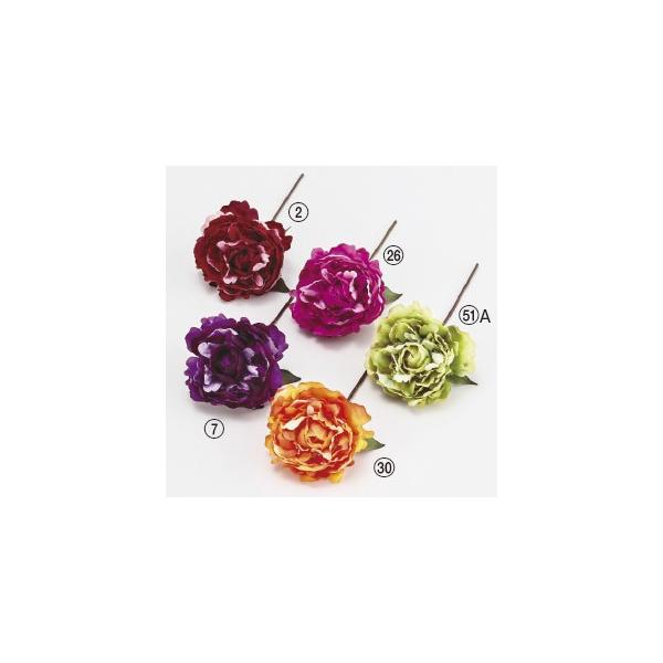  Ԃ̂ sIj[sbNk×12{lAWg/ԍ/A[gt[/CeA