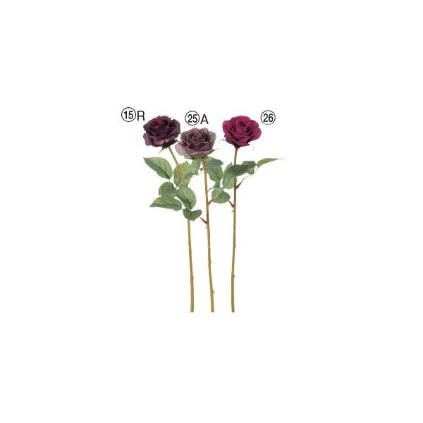  Ԃ̂ [Yk×12{lAWg/ԍ/A[gt[/CeA