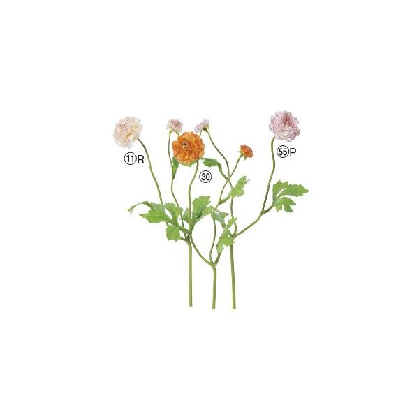  Ԃ̂ iLX×1 ڂ×1k×24{lAWg/ԍ/A[gt[/CeA