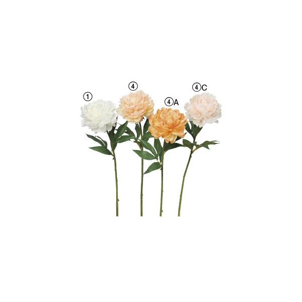  Ԃ̂ sIj[k×12{lAWg/ԍ/A[gt[/CeA