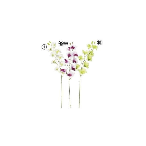  Ԃ̂ ~jfhr[×9 ڂ×2k×12{lAWg/ԍ/A[gt[/CeA