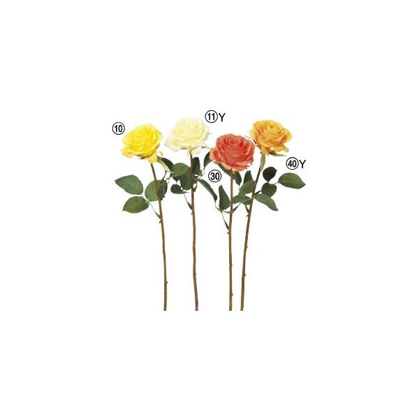  Ԃ̂ [Yk×12{lAWg/ԍ/A[gt[/CeA