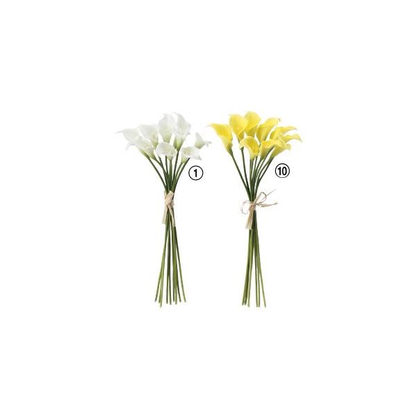  Ԃ̂ J[Bo`i19{jk×6lAWg/ԍ/A[gt[/CeA