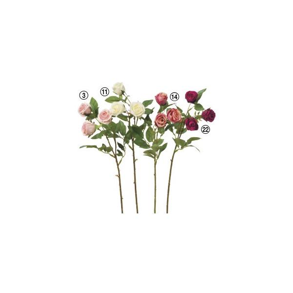  Ԃ̂ [Y×3k×12{lAWg/ԍ/A[gt[/CeA