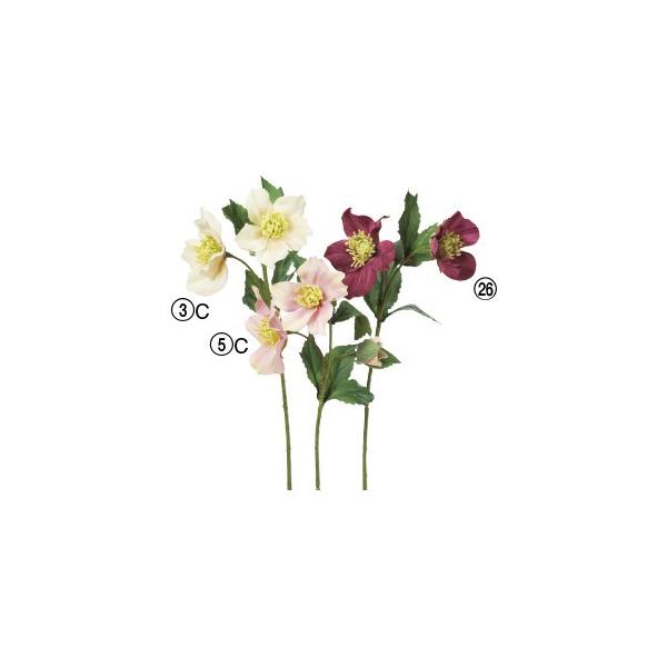  Ԃ̂ NX}X[Y×2 ڂ×1k×24{lAWg/ԍ/A[gt[/CeA