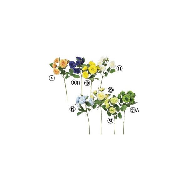  Ԃ̂ [YsbN×5 ڂ×2k×24{lAWg/ԍ/A[gt[/CeA