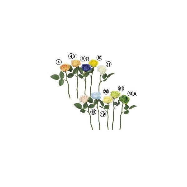  Ԃ̂ [Yk×24{lAWg/ԍ/A[gt[/CeA