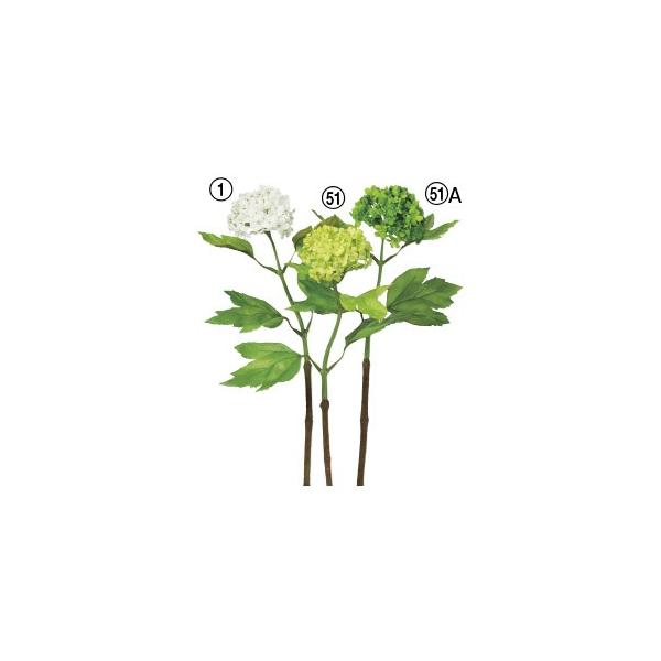  Ԃ̂ Xm[{[k×12{lAWg/ԍ/A[gt[/CeA