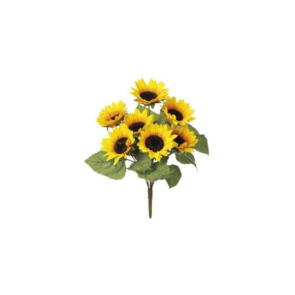  Ԃ̂ Tt[ubV×7k×12{lAWg/ԍ/A[gt[/CeA