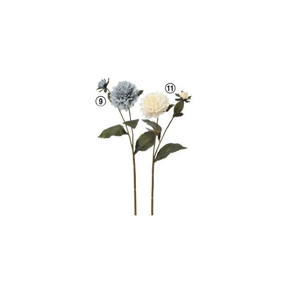  Ԃ̂ _A×1 ڂ×1k×12{lAWg/ԍ/A[gt[/CeA