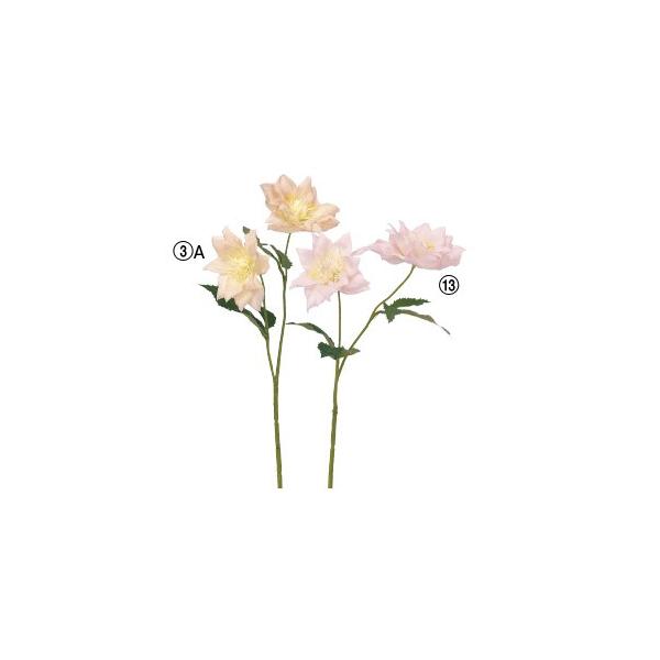  Ԃ̂ NX}X[Y×2k×12{lAWg/ԍ/A[gt[/CeA