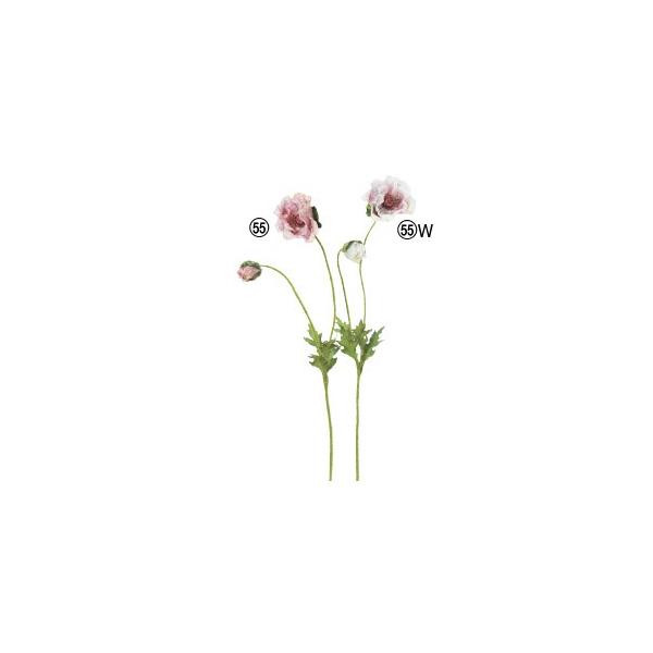  Ԃ̂ |s[×1 ڂ×1k×12{lAWg/ԍ/A[gt[/CeA