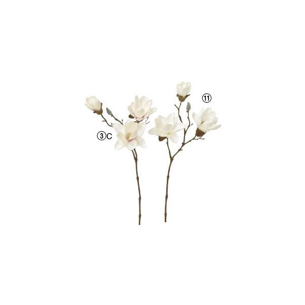  Ԃ̂ }OmA×3 ڂ×1k×12{lAWg/ԍ/A[gt[/CeA