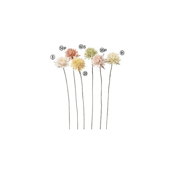  Ԃ̂ sIj[k×12{lAWg/ԍ/A[gt[/CeA