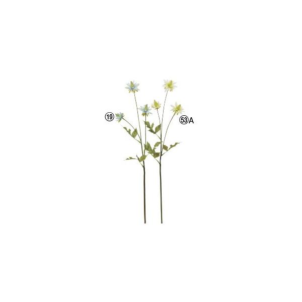  Ԃ̂ ~j_A×3k×12{lAWg/ԍ/A[gt[/CeA