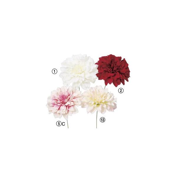  Ԃ̂ _AsbNk×12{lAWg/ԍ/A[gt[/CeA