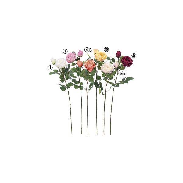  Ԃ̂ [Y×1 ڂ×1k×12{lAWg/ԍ/A[gt[/CeA