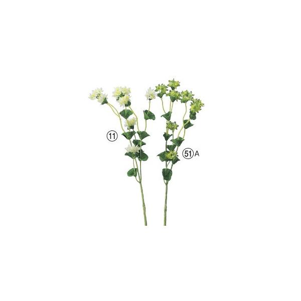  Ԃ̂ uvE×8k×24{lAWg/ԍ/A[gt[/CeA