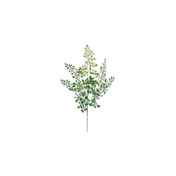  tFCNO[ AWA^k×24{lAWg/CeA