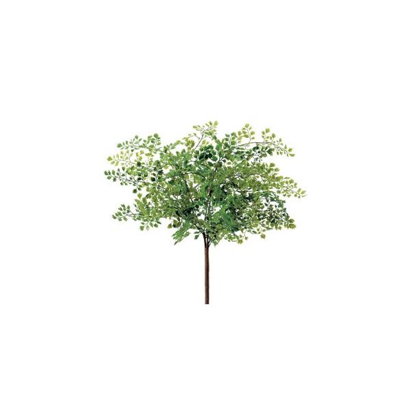 ϗtA tFCNO[ Cfw[t@[ubViAWA^jk×6{lAWg/CeA