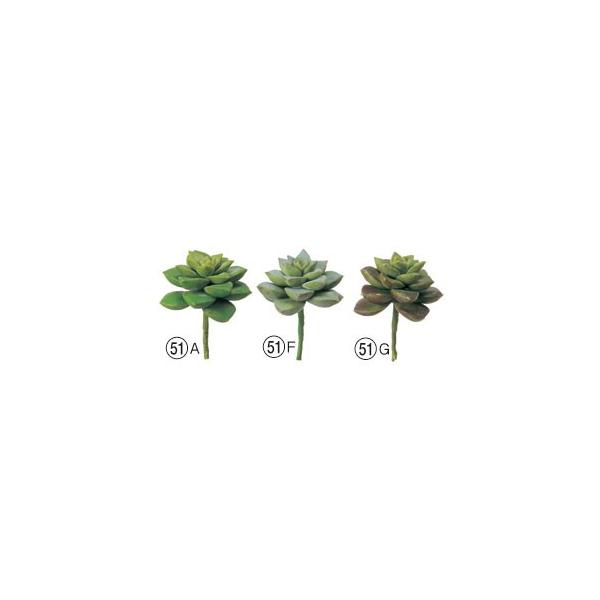 A tFCNO[ TbJek×12{lCeA