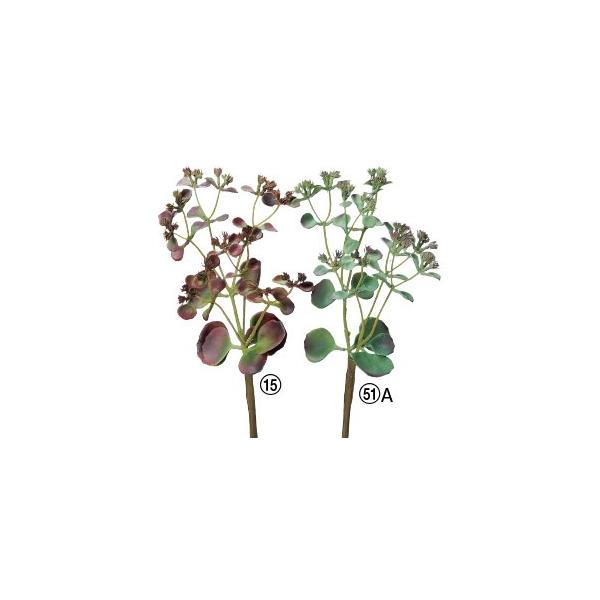 A tFCNO[ Z_k×12{lCeA