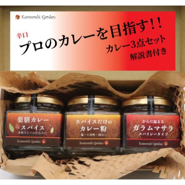 【辛口】プロのカレーを目指す！カレー３点セット 解説書付き