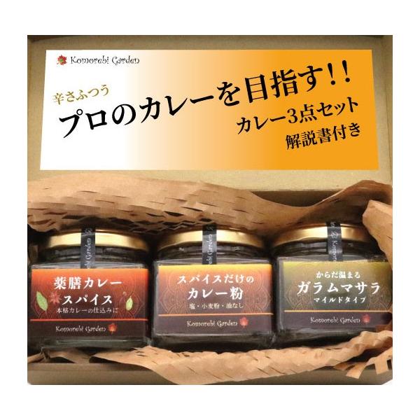 【辛さふつう】プロのカレーを目指す！カレー３点セット 解説書付き