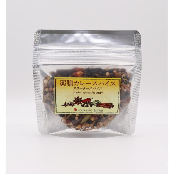 【送料無料！スパイスカレーのスタータースパイス】薬膳カレースパイス 30g(袋)