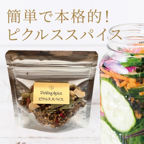 【送料無料】『キッチンスパイスシリーズ』ピクルス・スパイス