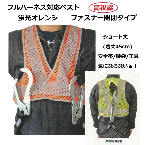 tn[lXp ˃xXg uIW wʃt@Xi[ J^Cv SxXg y bV