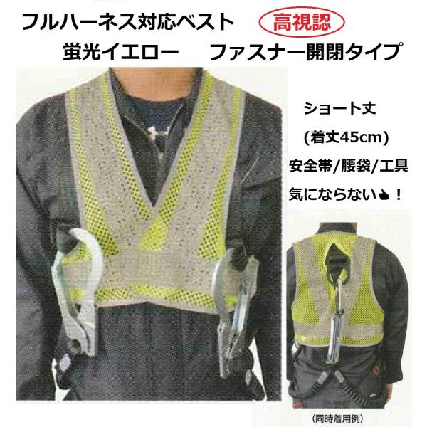 tn[lXp ˃xXg uCG[ wʃt@Xi[ J^Cv SxXg y bV