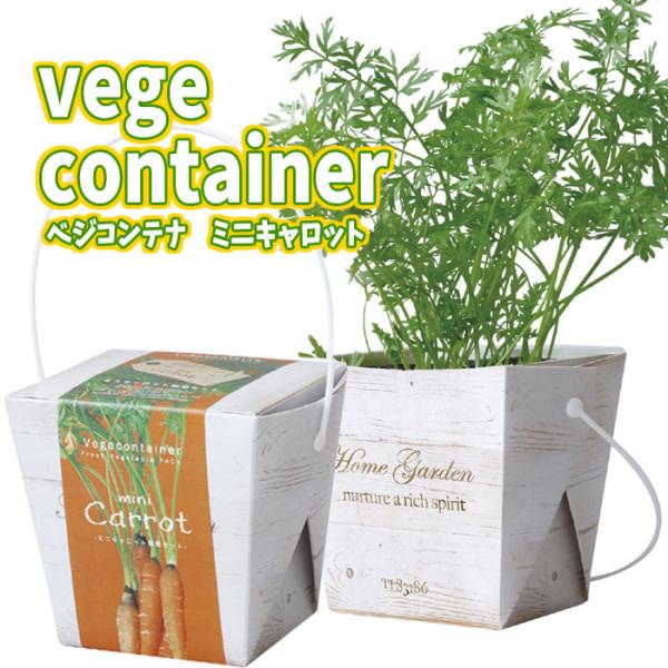ベジコンテナ ミニキャロット 栽培セット 野菜 栽培キット ガーデニング 室内園芸 キッチン菜園 キッチンガーデン アーテック Buyee Buyee Japanese Proxy Service Buy From Japan Bot Online