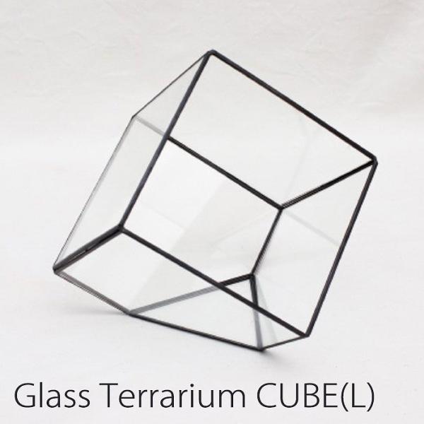 ケース ボックス 容器 テラリウム ガラステラリウム ガラスケース ガラスベース Cube Lサイズ キューブ型テラリウム インテリア 園芸 ガーデニング グリーン Buyee Servis Zakupok Tretim Licom Buyee Pokupajte Iz Yaponii