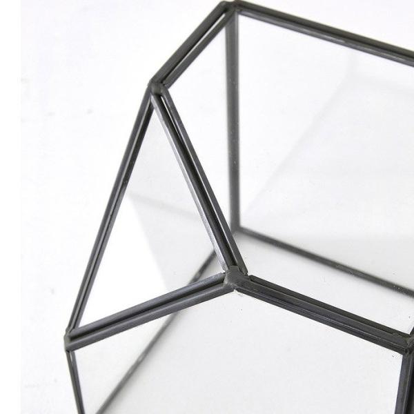 ケース ボックス 容器 テラリウム ガラステラリウム ガラスケース ガラスベース Cube Lサイズ キューブ型テラリウム インテリア 園芸 ガーデニング グリーン Buyee Servis Zakupok Tretim Licom Buyee Pokupajte Iz Yaponii