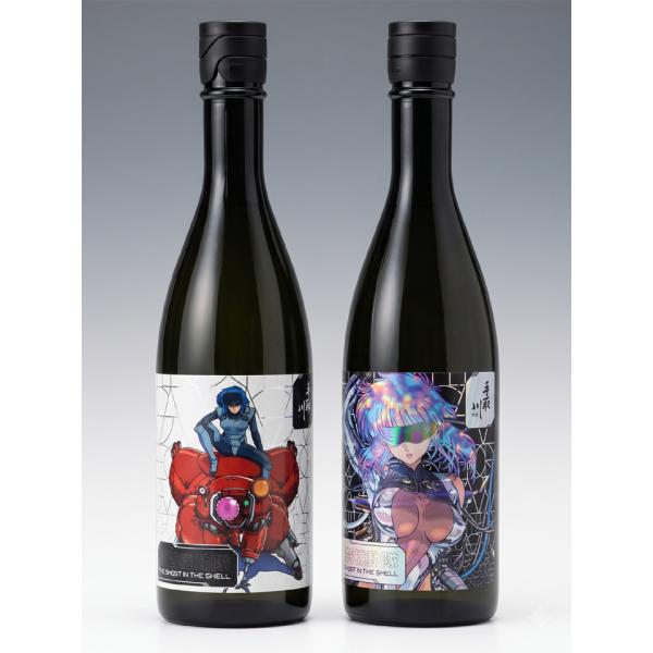 手取川 純米大吟醸酒 オリジナルアートラベル 720ml 2本セット
