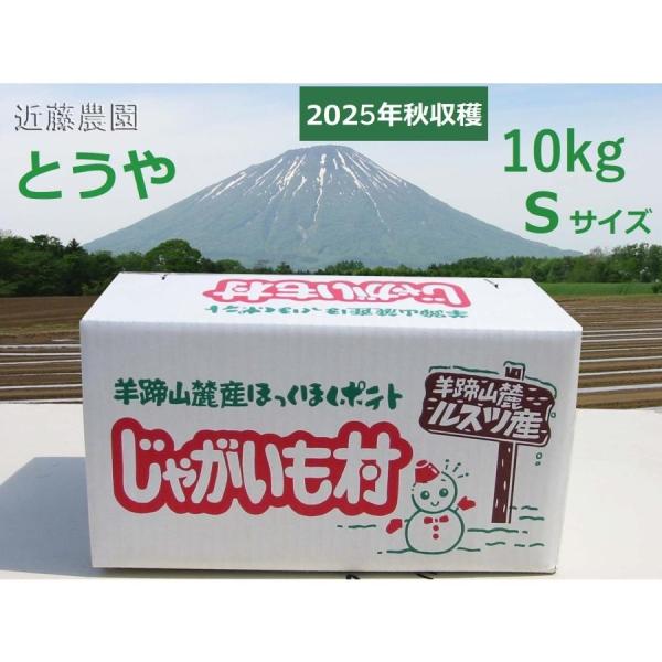 ♪あ ま〜く て ホ ク ホ ク で すよ♪同じ北海道でも地域によって味も価格も変わってきます。羊蹄山のふもと留寿都村は、気候・土質等環境に恵まれた地域で北海道の中でも特に『おいしい』じゃがいもの取れる産地です。当農園の甘くてホクホクしたじ...