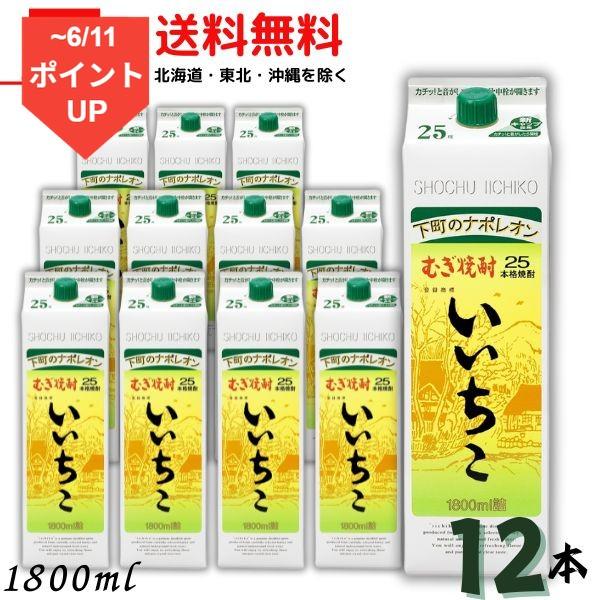 いいちこ 焼酎 25度 1.8L 1800ml パック 2ケース 12本 麦焼酎 三和酒類 送料無料 LSC