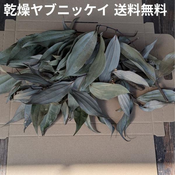 乾燥ヤブニッケイ 葉・枝 約50g 送料無料 徳島県産 農薬不使用 香り袋 ポプリ 天然アロマ素材
