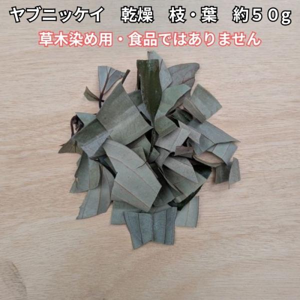 ヤブニッケイ 乾燥 葉 枝 約50g 草木染め 天然染料 染色素材 植物染め 自然素材 ハンドメイド 徳島県産 送料無料 食品ではありません