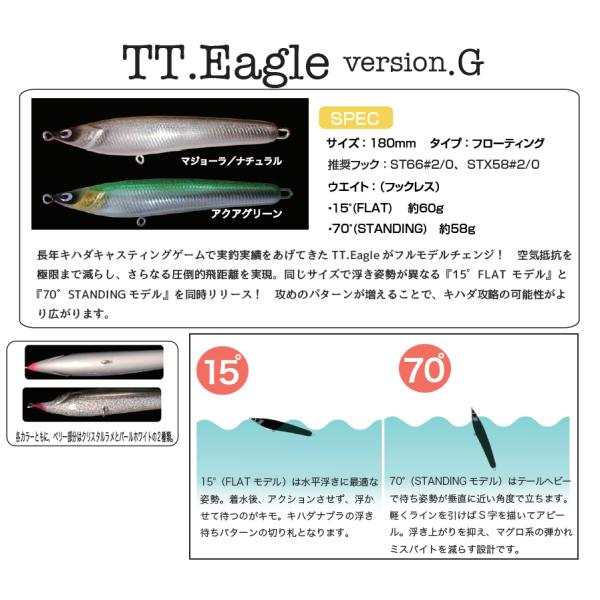 Tama.TV (^}eB[r[jTT.EagleiC[OjVersion.G 15°(FLAT)60g 180F ANAO[ p[zCgx[