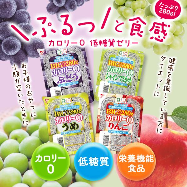 konnyakupark_ydf01255_2_d_20250324172919