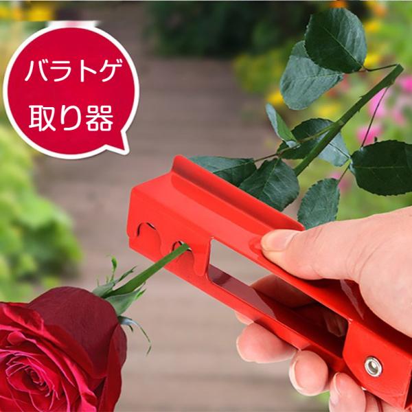 バラトゲ取り器 バラトゲ抜き フラワーアレンジメント道具 花屋さん用 ガーデニングツール バラの茎のトゲ除去 簡単トゲ取り 花束作り 園芸道具 赤色