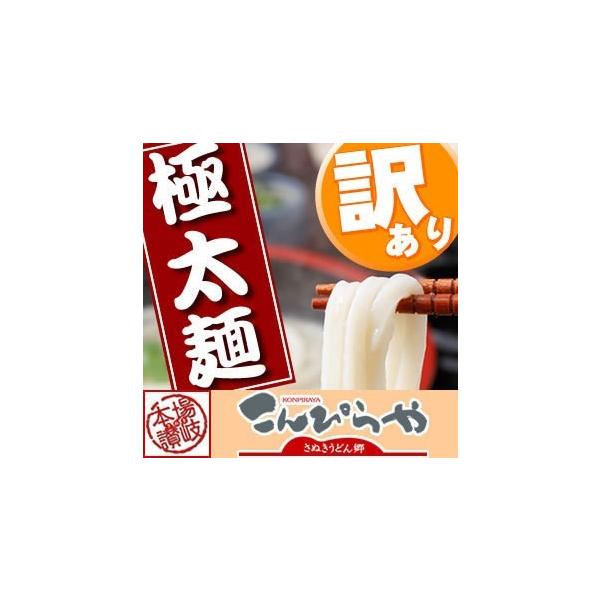 うどん 極太の人気商品・通販・価格比較 ネット限定商品!メール便でポストにお届け! 純生讃岐カレーうどん 2人前 ※日時指定不可3個以上のご購入で、宅配便にてお届け☆※送料は個別に発生致します