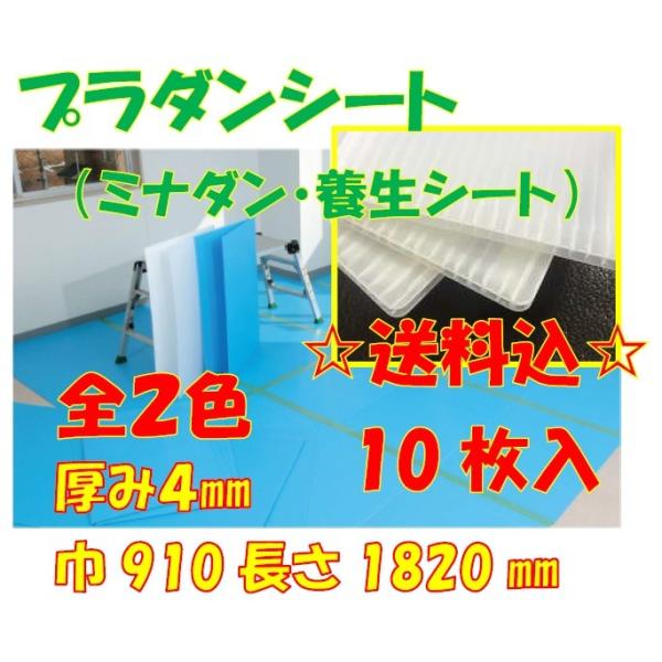 プラダンシート ミナダン 養生シート 全2色 10枚セット 厚み4mm910