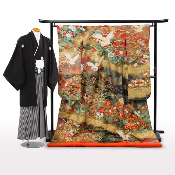 色打掛 紋付レンタルフルセット 相良秋草絵巻 Re Iro 045 色打掛