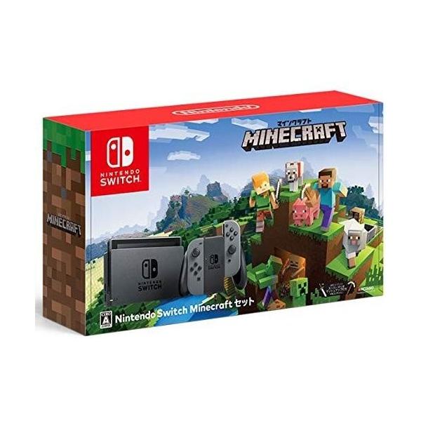 Nintendoswitch Minecraft マインクラフト セット Www Segdielectriques Com