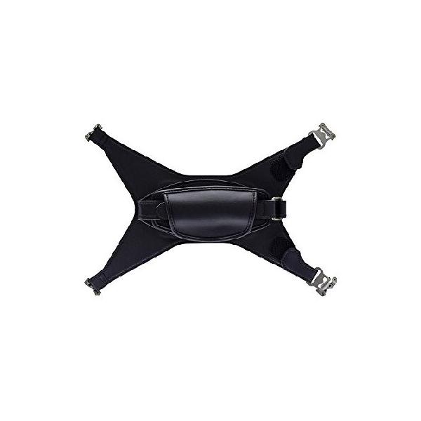 専用品 DAYTONA（バイク用品） デイトナ D41719 プログレス・レーシング