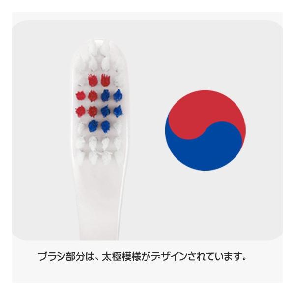 韓国雑貨 韓国の食文化歯ブラシ 12本セット 面白い おもしろ お土産 プレゼント Buyee Buyee Japanese Proxy Service Buy From Japan Bot Online